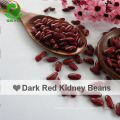 Chinese Good Quality Competitive Price Dark Red Kidney Beans